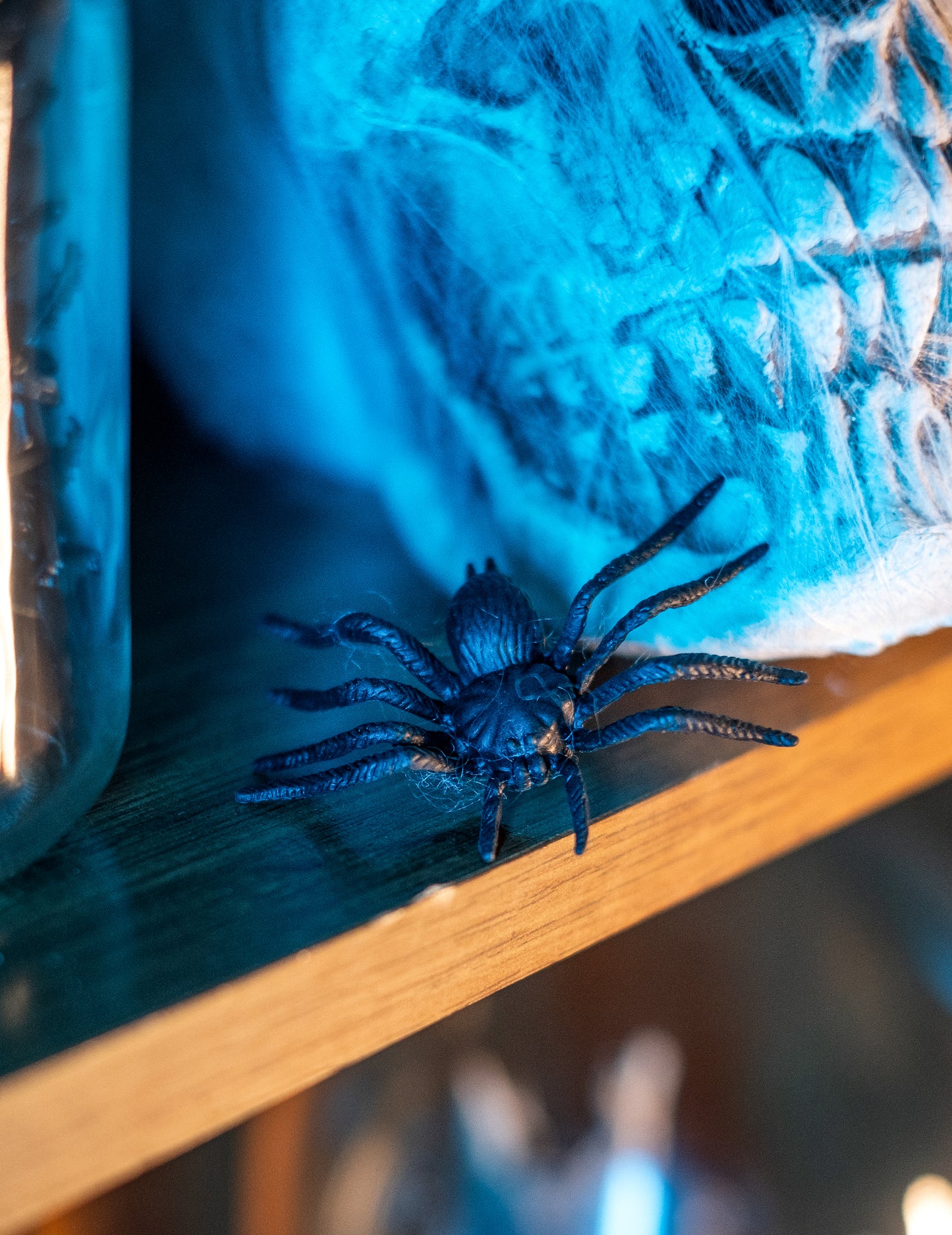 12 halloweenských pavúkov