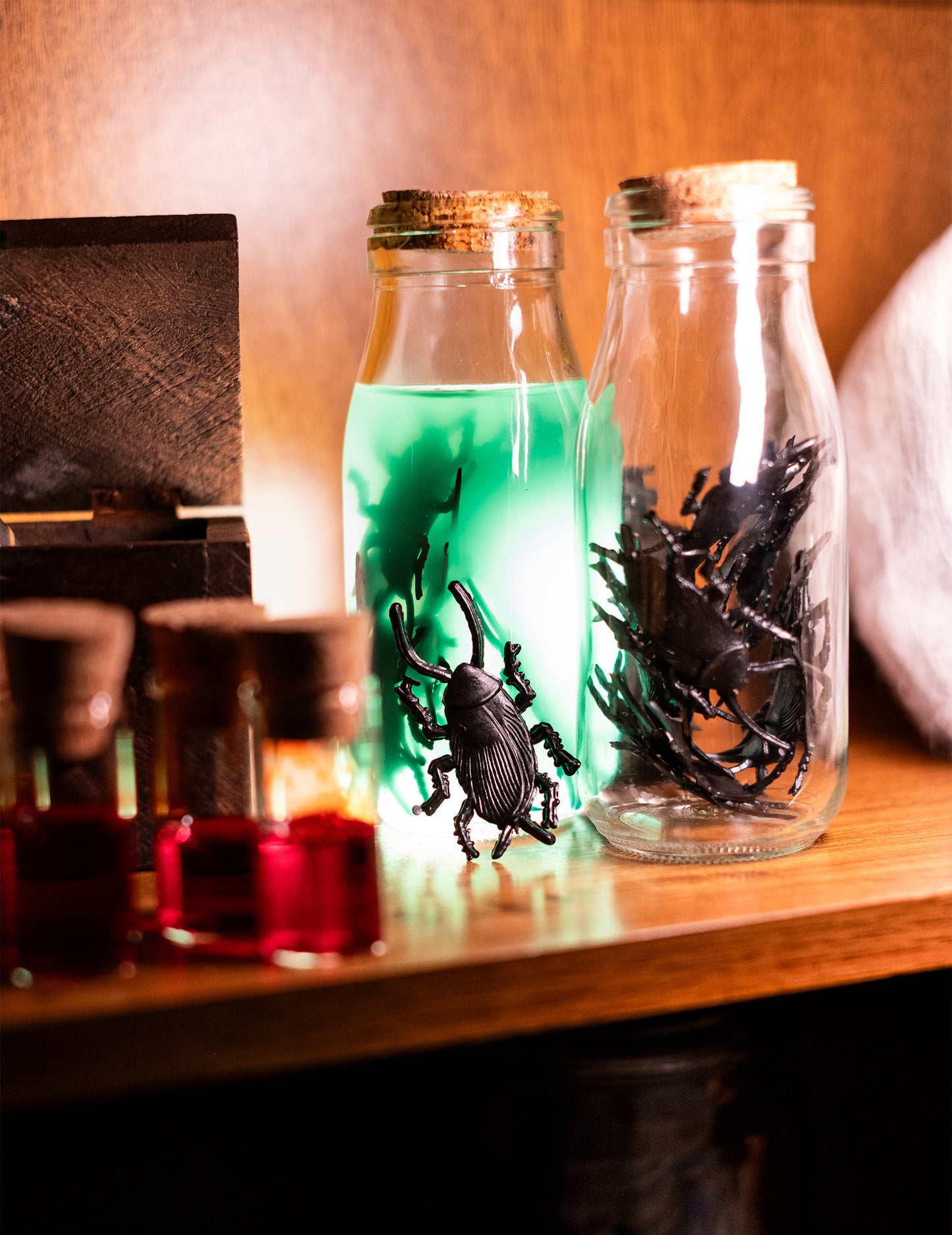 12 čiernych švábov 6 cm Halloween