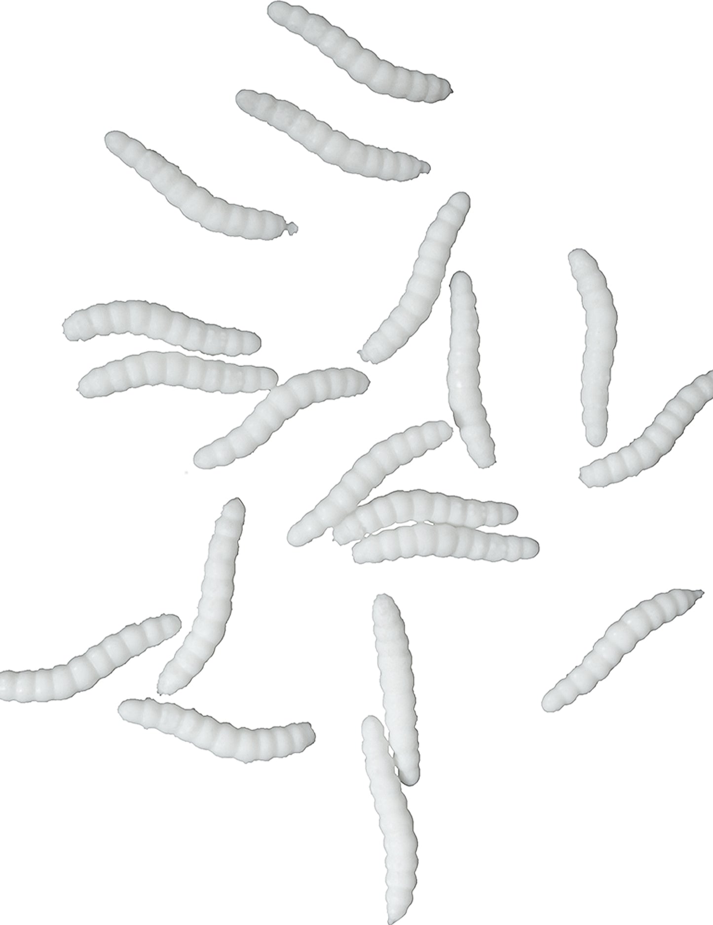 20 biela figurína asticots 4 cm