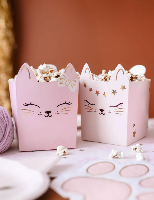 Vue rapprochée des boîtes pour snack chatons