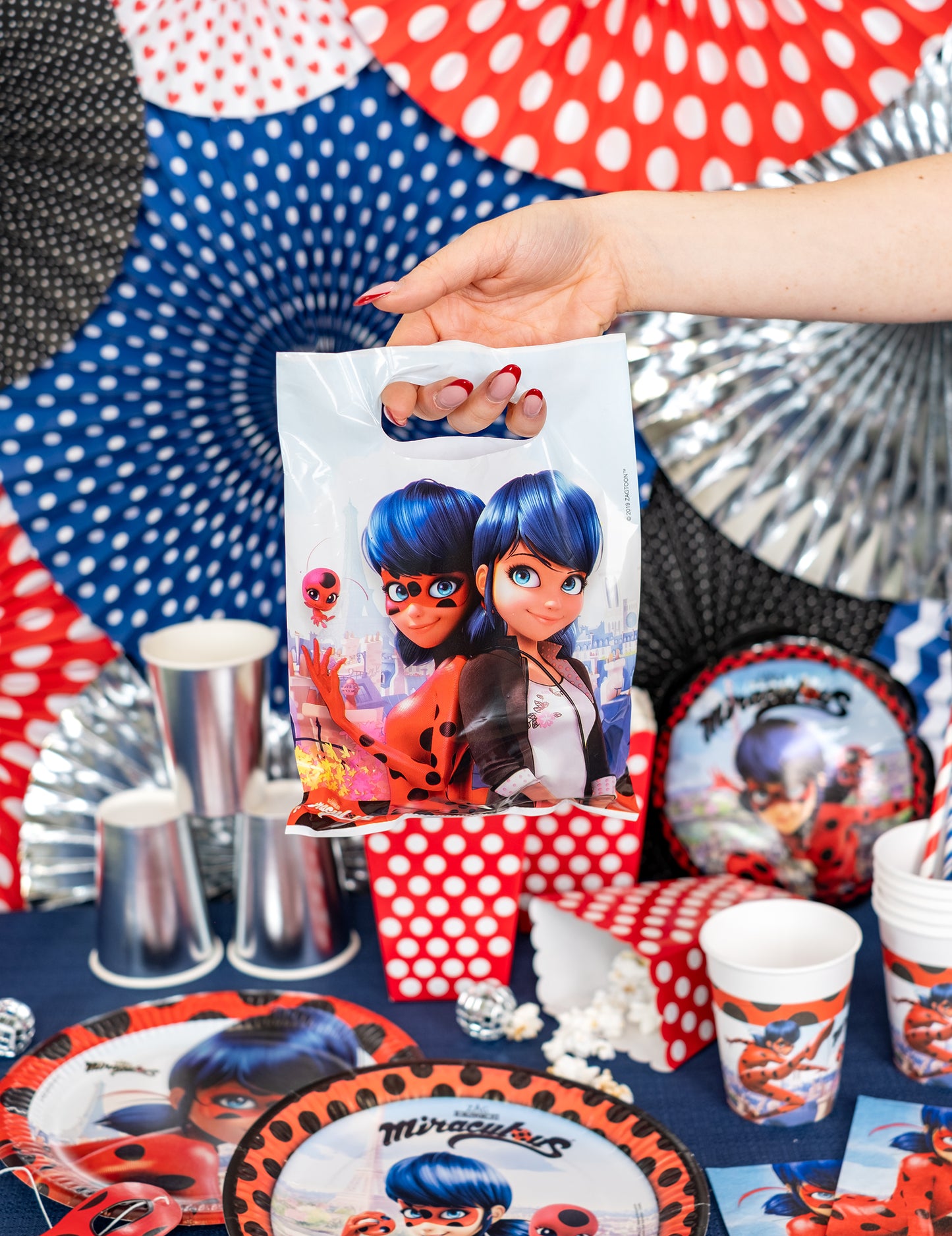 6 Zázračné lienky Zázračné darčekové tašky 23 x 16,5 cm