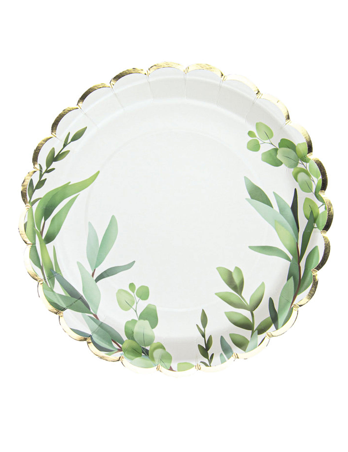Assiettes festonnées en carton feuilles d'eucalyptus blanches avec liseré doré