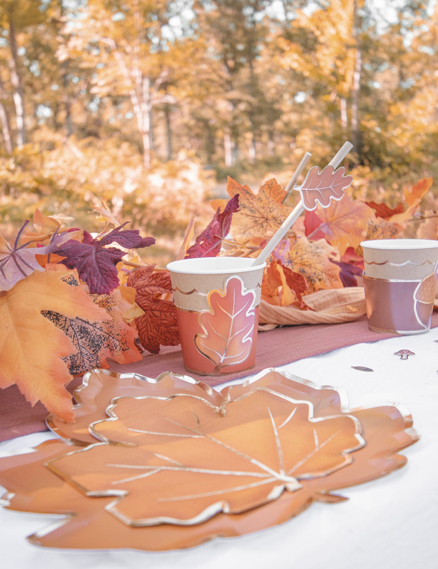 8 pokrievok na poháre na jeseň a Halloween