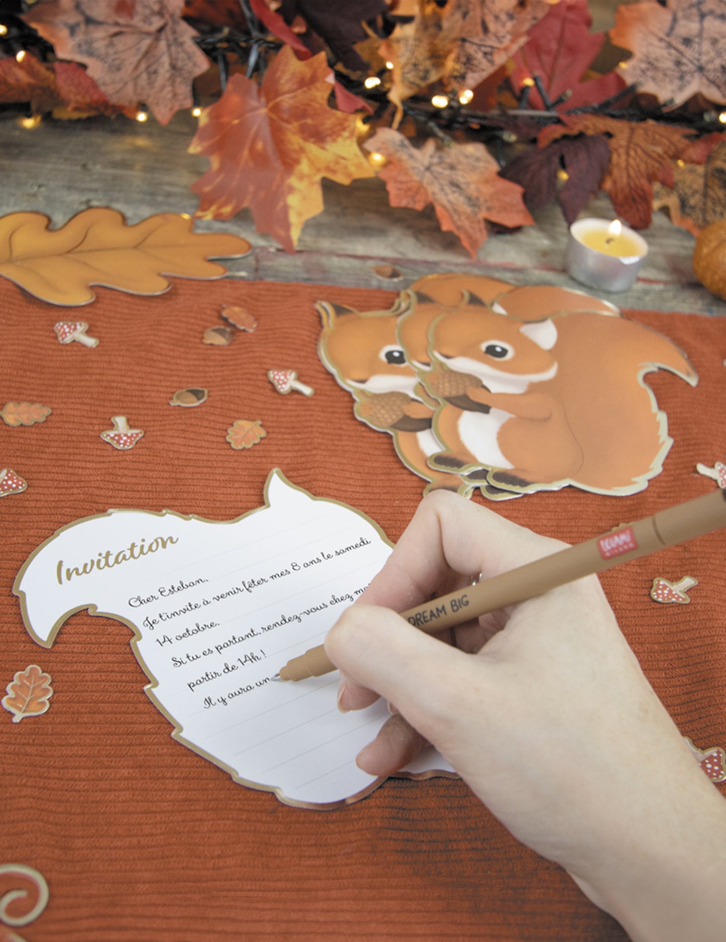 8 pozvánok s lesnými veveričkami 14 x 13 cm zvieratá z lesa