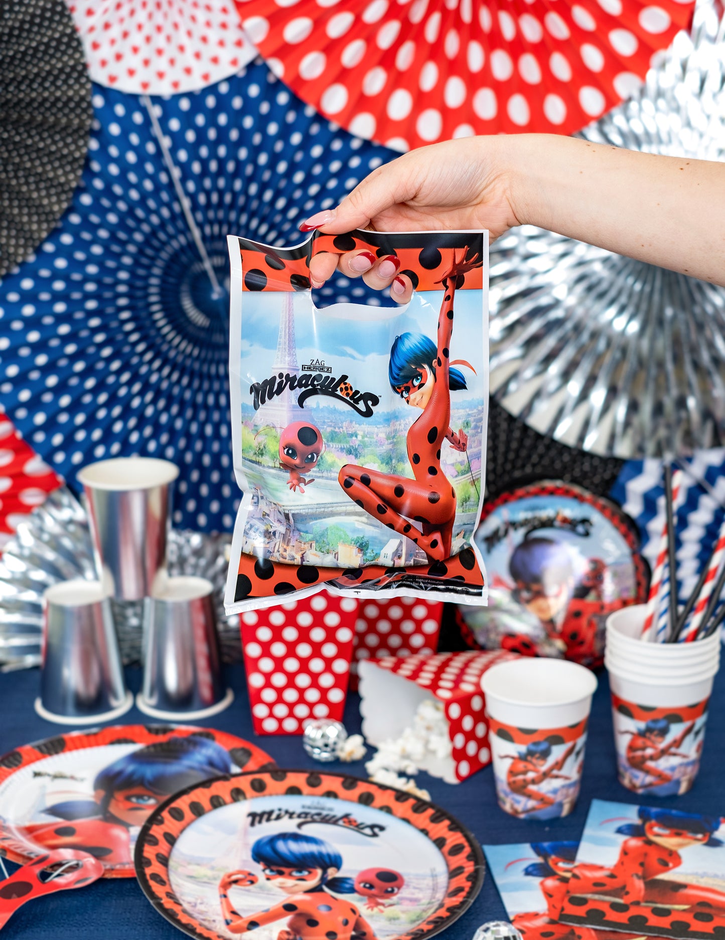 8 Ladybug 16,5 x 23 cm darčekové tašky