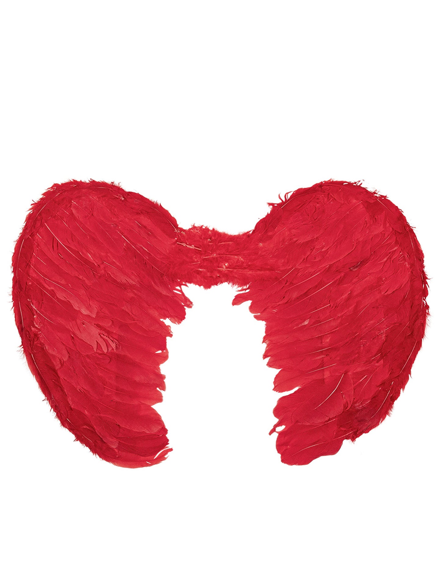Wings Red Angel Wings 60 x 40 cm