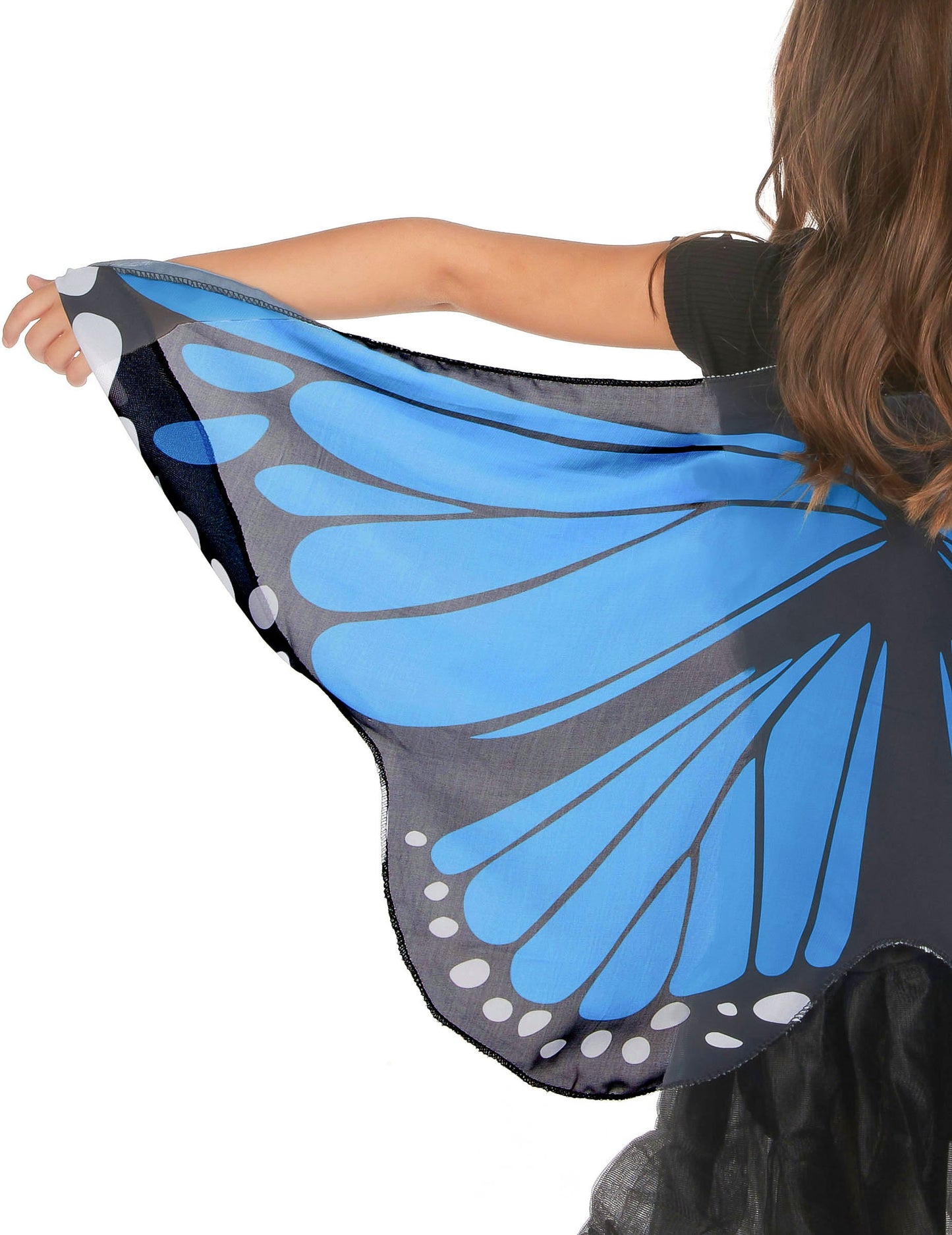 Modré a čierne krídla motýľa