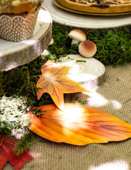 Mise en situation de l'assortiment de 11 feuilles d'automne décoration en carton