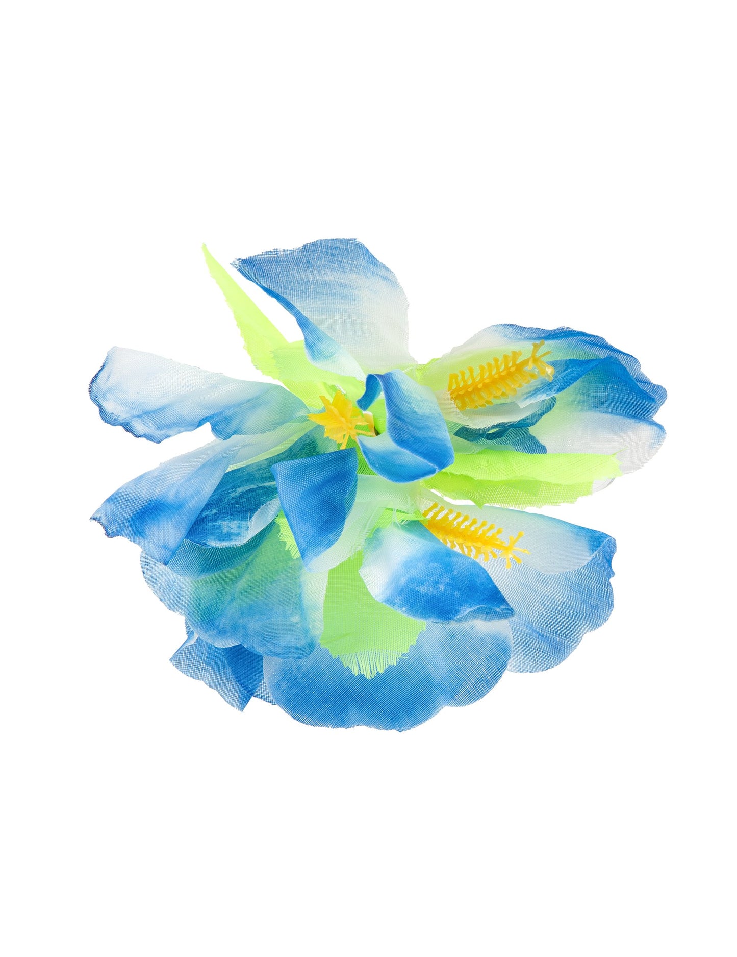 Havajský modrý kvetinový bar