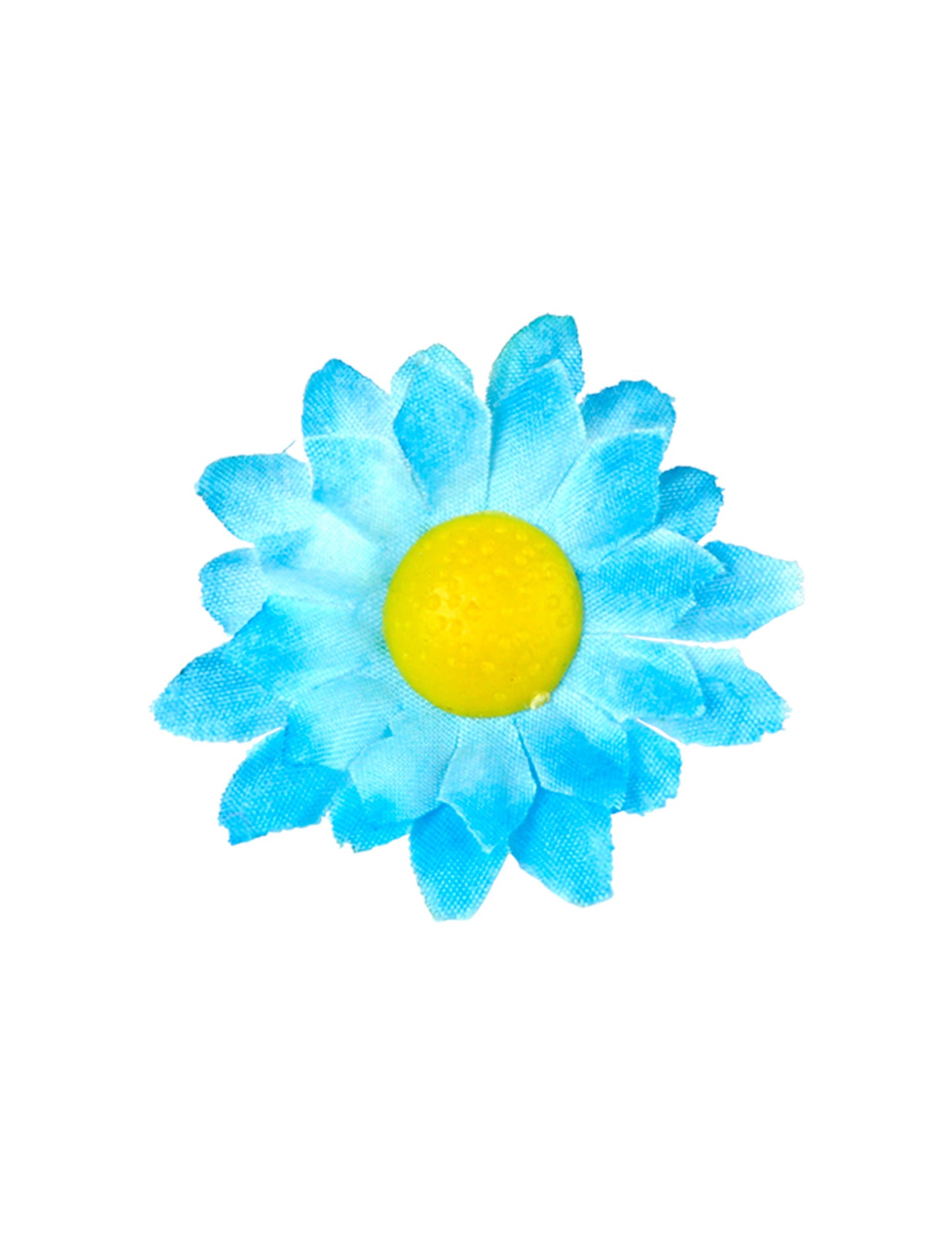 Box s 20 modrými kvetmi Daisy