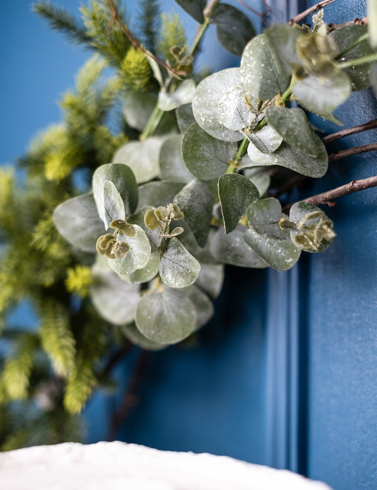 Gros plan sur les feuilles de la branche d'eucalyptus décoration naturelle