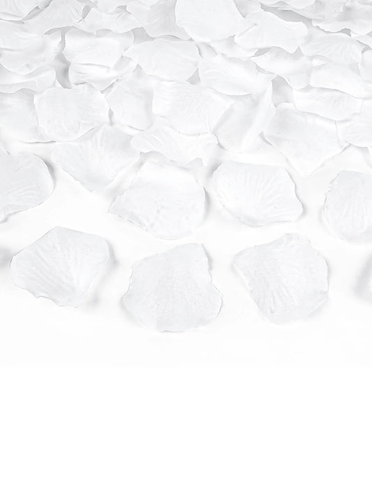 Gros plan sur les pétales du canon à confettis pétales blanc