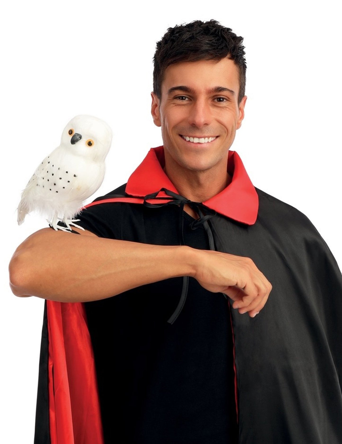 Sorcierova biela sova