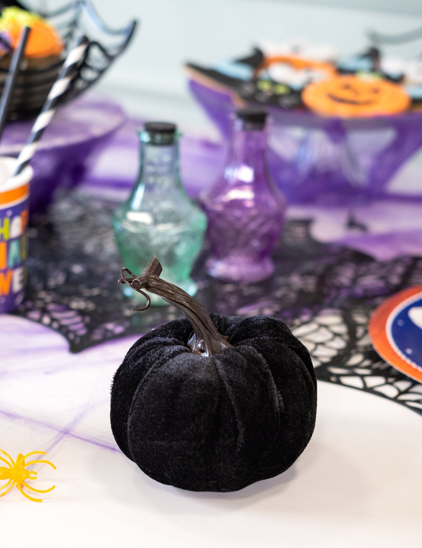 Čierna zamatová tekvica 10 cm