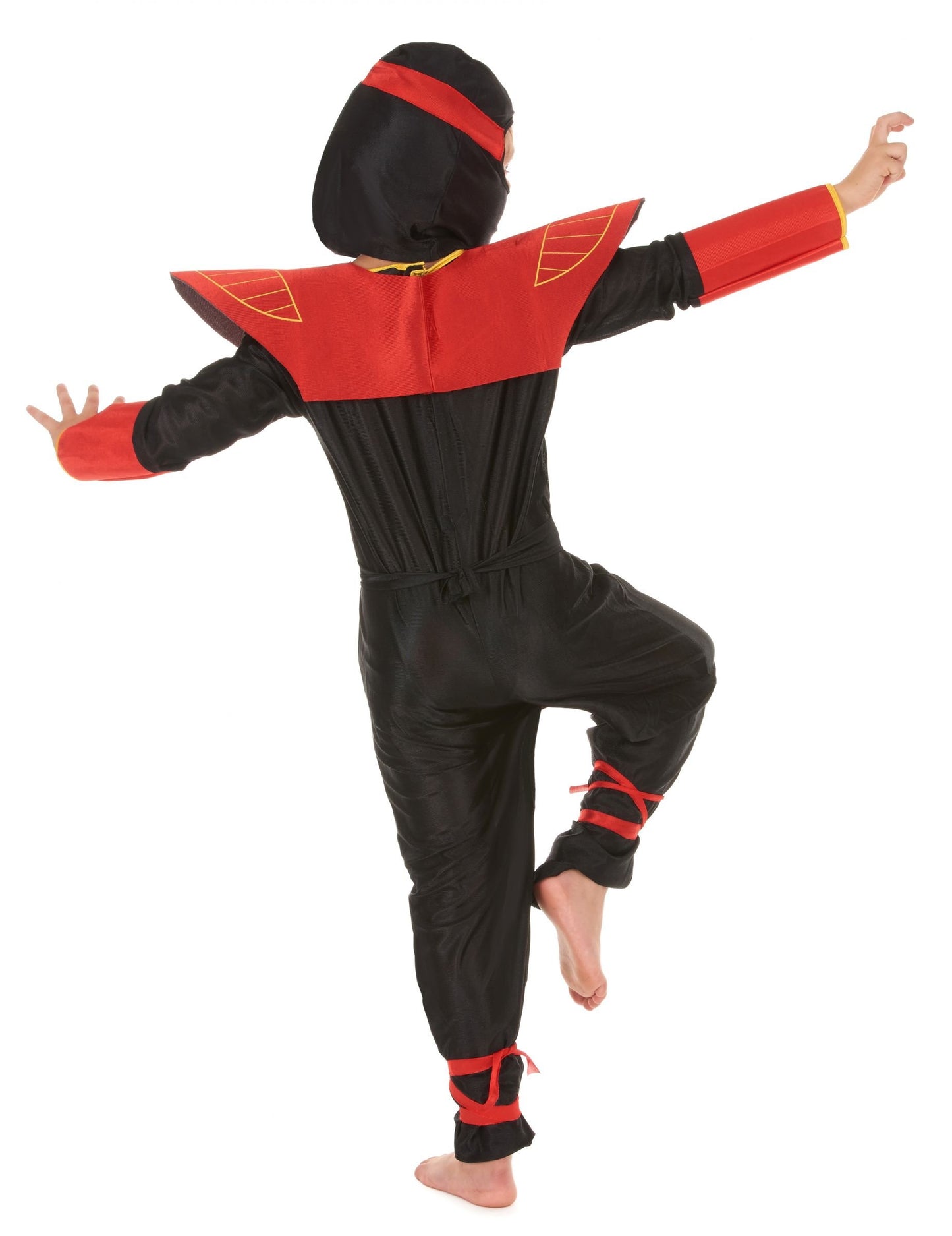 Ninja Masguise Dragons Boy Dragons