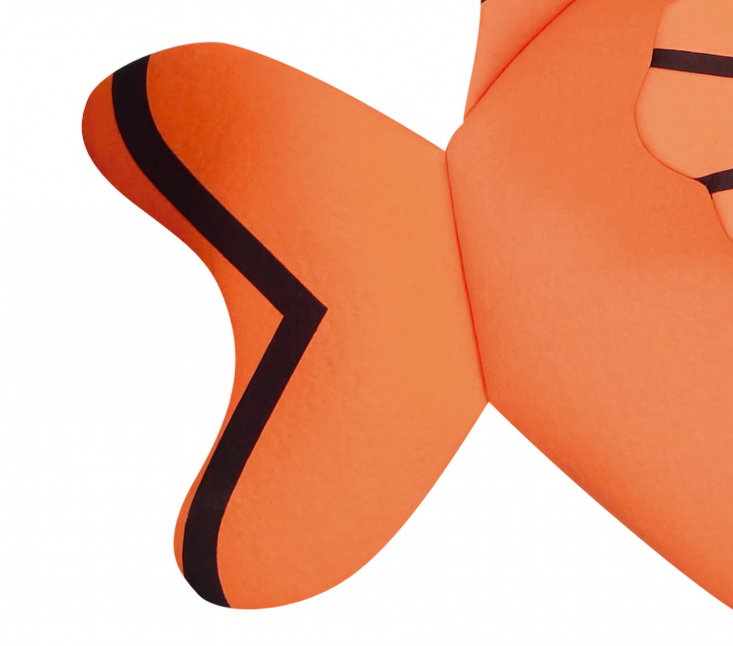 Zasahovanie detských klaunových rýb