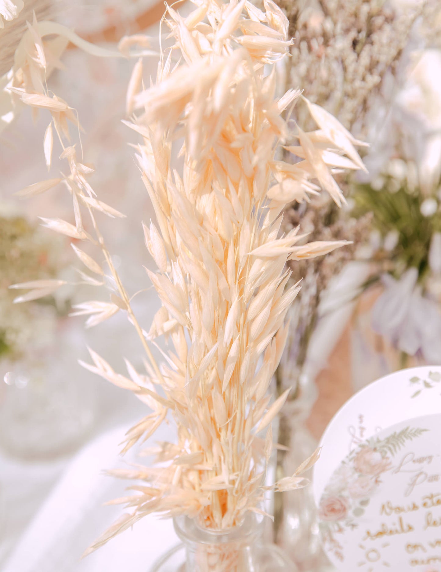 Prírodné sušené ovsené vločky 100g 73 cm vidiecka atmosféra