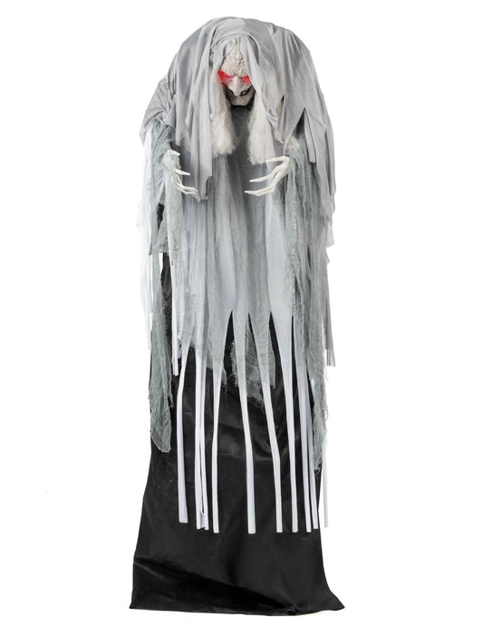 Vue d'ensemble de la sorcière animée pour décoration d'Halloween