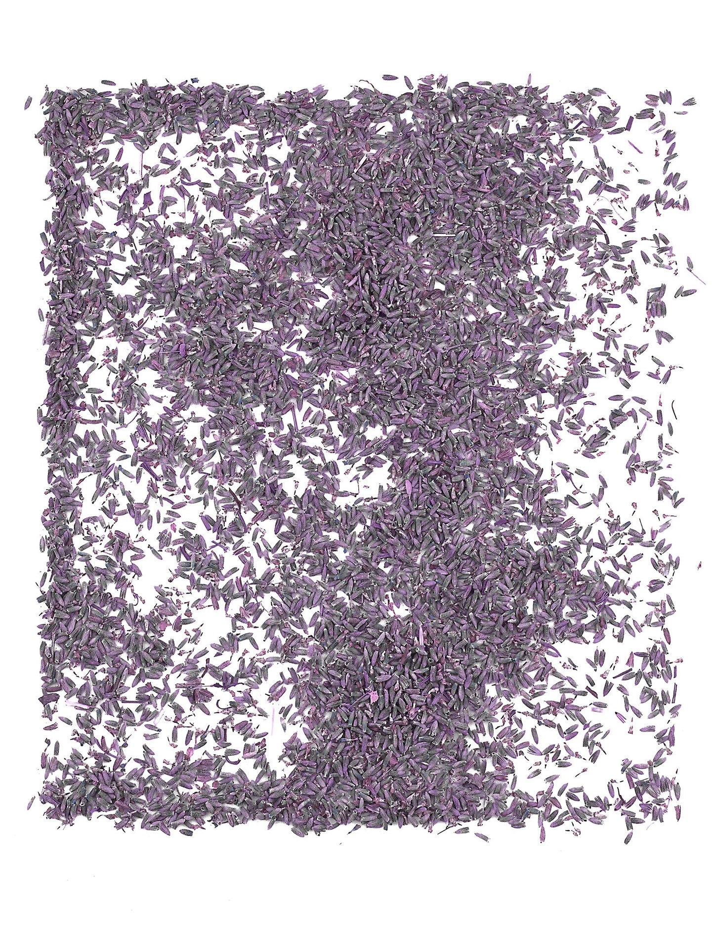 1 kg vrecko prírodných levanduľových kvetov na svadby