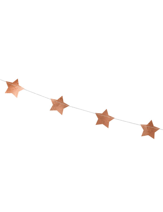 Détail des étoiles de la guirlande en carton étoiles métallisées pour Noël