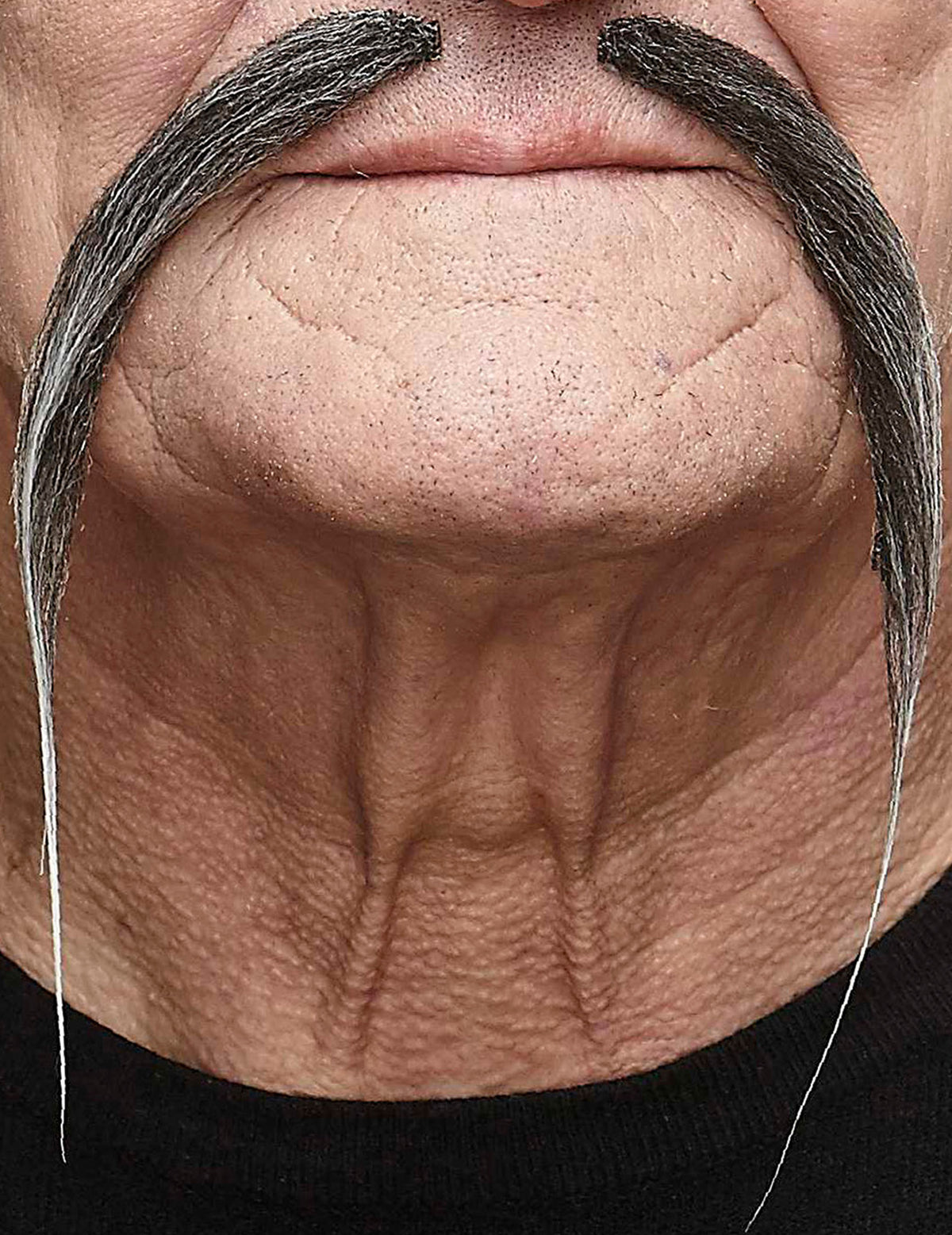 Moustache chinoise pour adulte grise