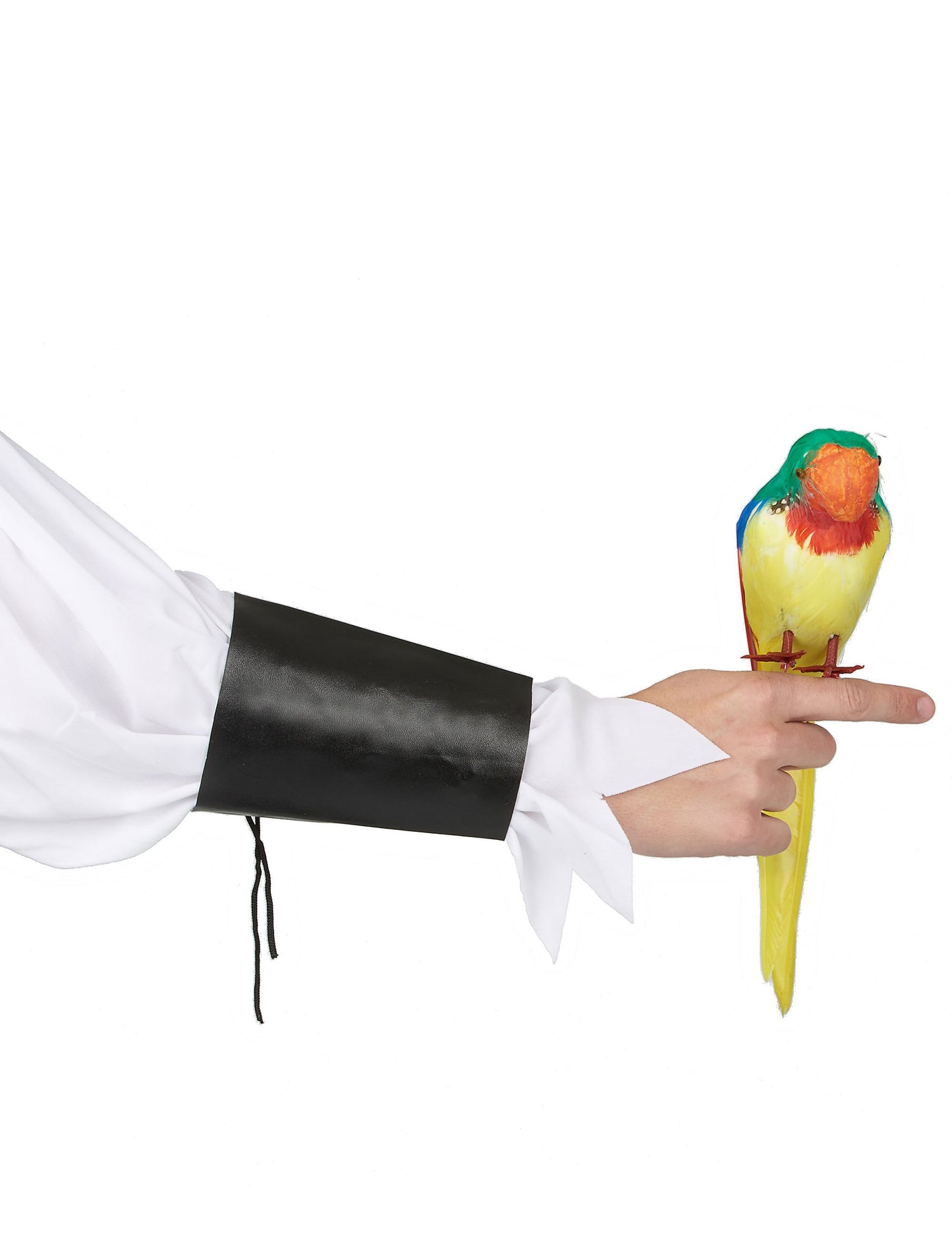 Papagáj z Havajských ostrovov pre dospelých žltý, zelený a červený