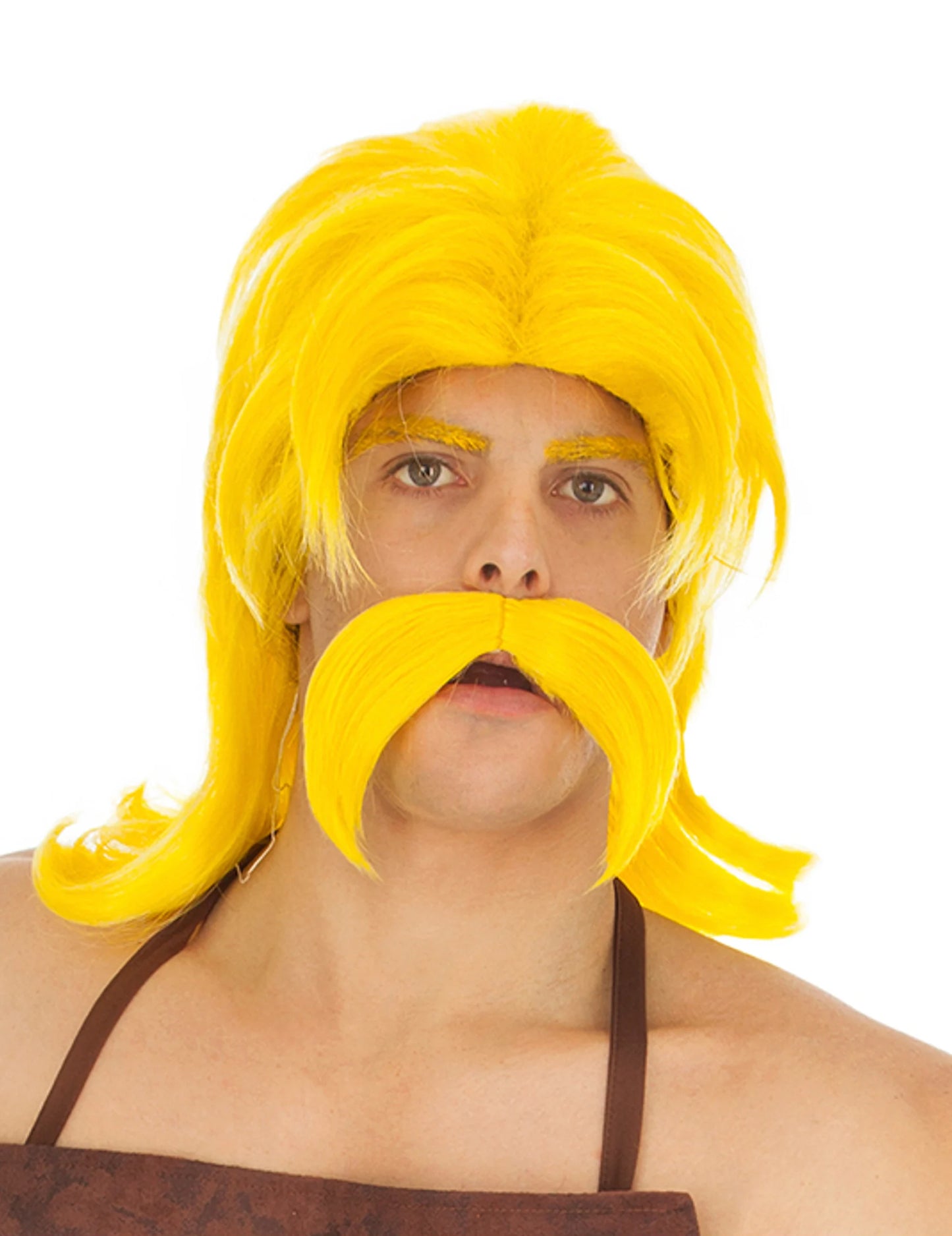 Asterix a Obélix Cetautomatix Wike