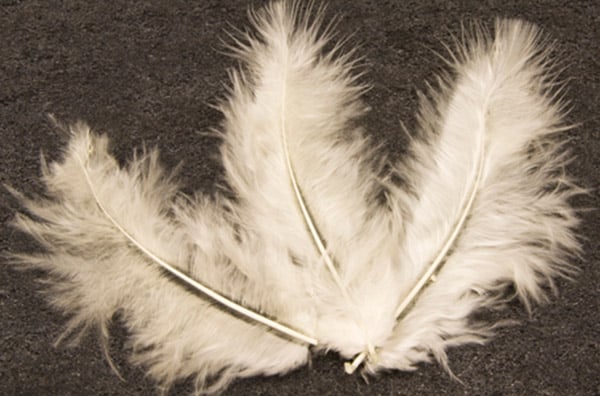 20 ozdobných pierok v slonovinovej farbe 5,5 cm na svadbu