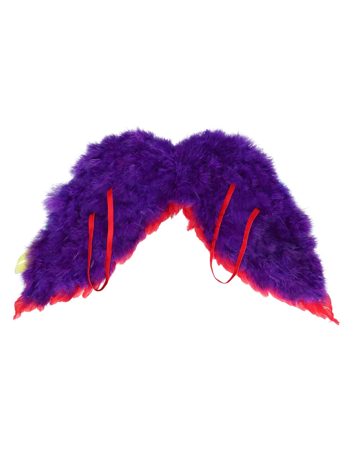 Dospelý dúhový anjel