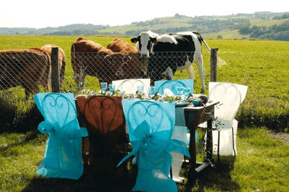 10 prémiových čokoládových poťahov na stoličky s rozmermi 50 x 95 cm uzlovaná netkaná textília