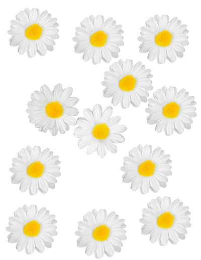 Décorations de table marguerite blanches et jaunes