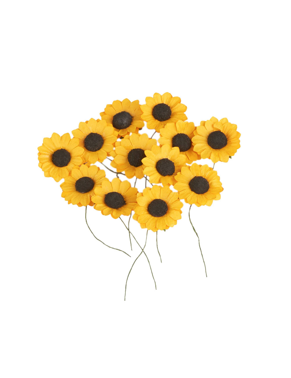 Vue d'ensemble des 12 fleurs des champs type tournesols