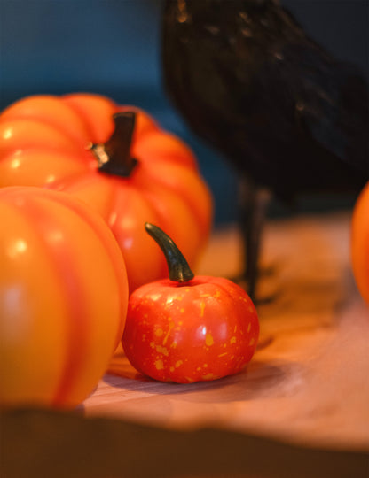 12 malých tekvice 5 cm