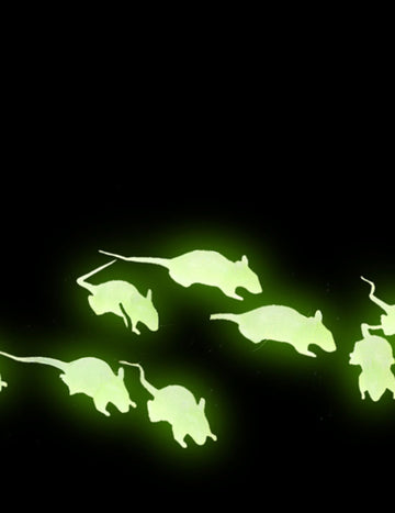 12 čiernych potkanov a fosforescentov 4 cm Halloween