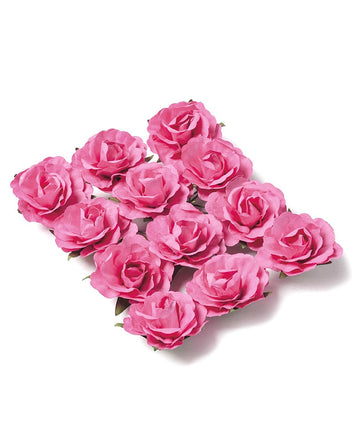 12 Fuchsia pichnutie