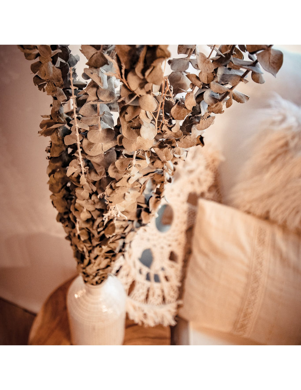 Gros plan sur les feuilles de l'eucalyptus séché décoration mariage