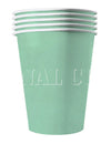 Gobelets américains carton recyclable menthe 53 cl