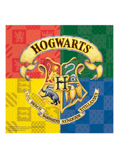 Jednorazový riad Harry Potter