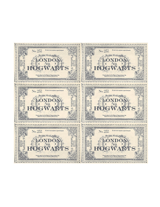 20 Servítok Harry Potter™ Lístok Londýn do Rokfortu 33 x 40 cm