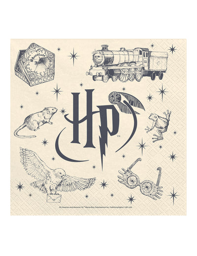 20 ks servítok Harry Potter™ 33 x 33 cm