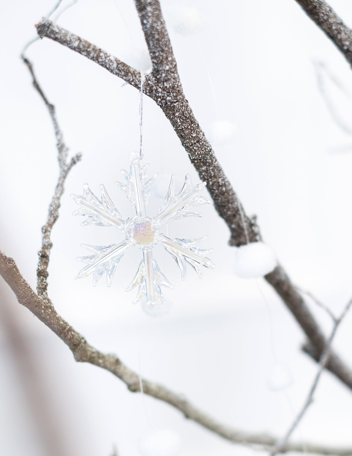 Suspension sur une branche du flocons en verre à suspendre pour sapin iridescents