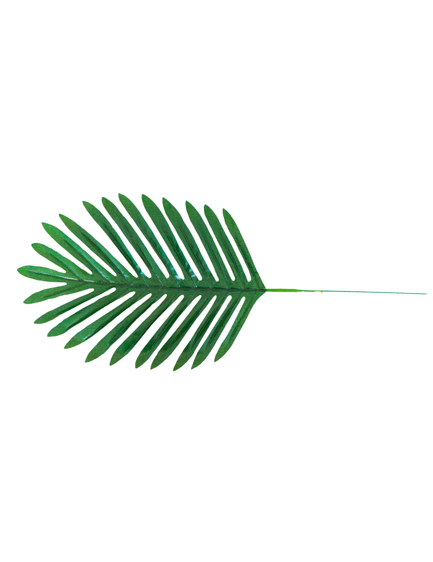 4 palmové listy 40 x 18 cm na tropickú dekoráciu
