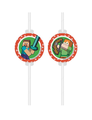 4 Minecraft Medaillion Piting Straws