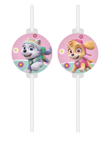 4 slamky Paw Patrol Stella a Everest™ v tvare medailónu