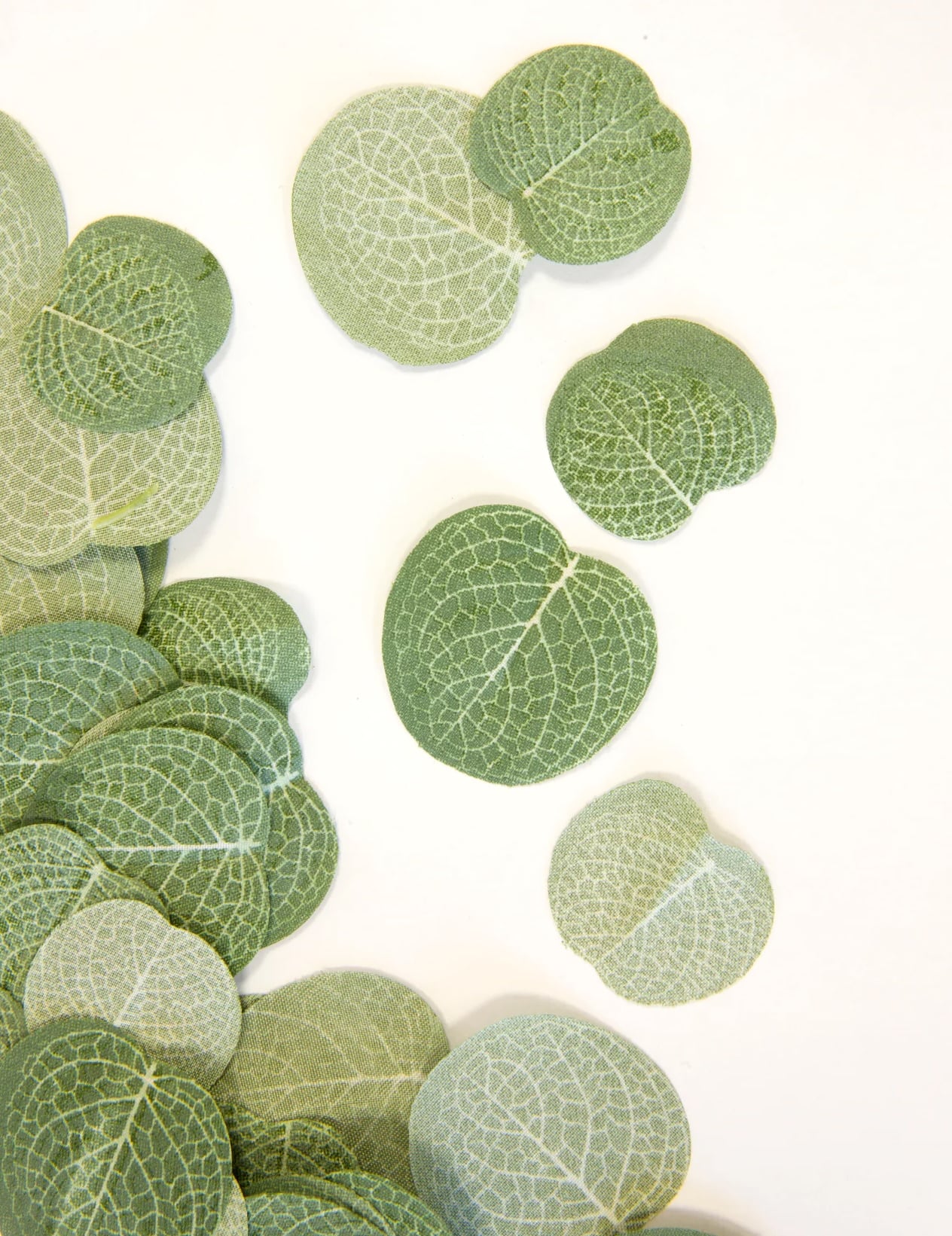 Confettis feuilles d'eucalyptus pour mariage nature en tissu vert