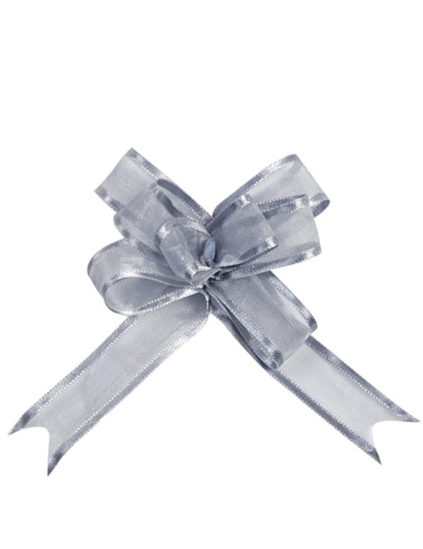 Mini noeud organdi pour fête argent
