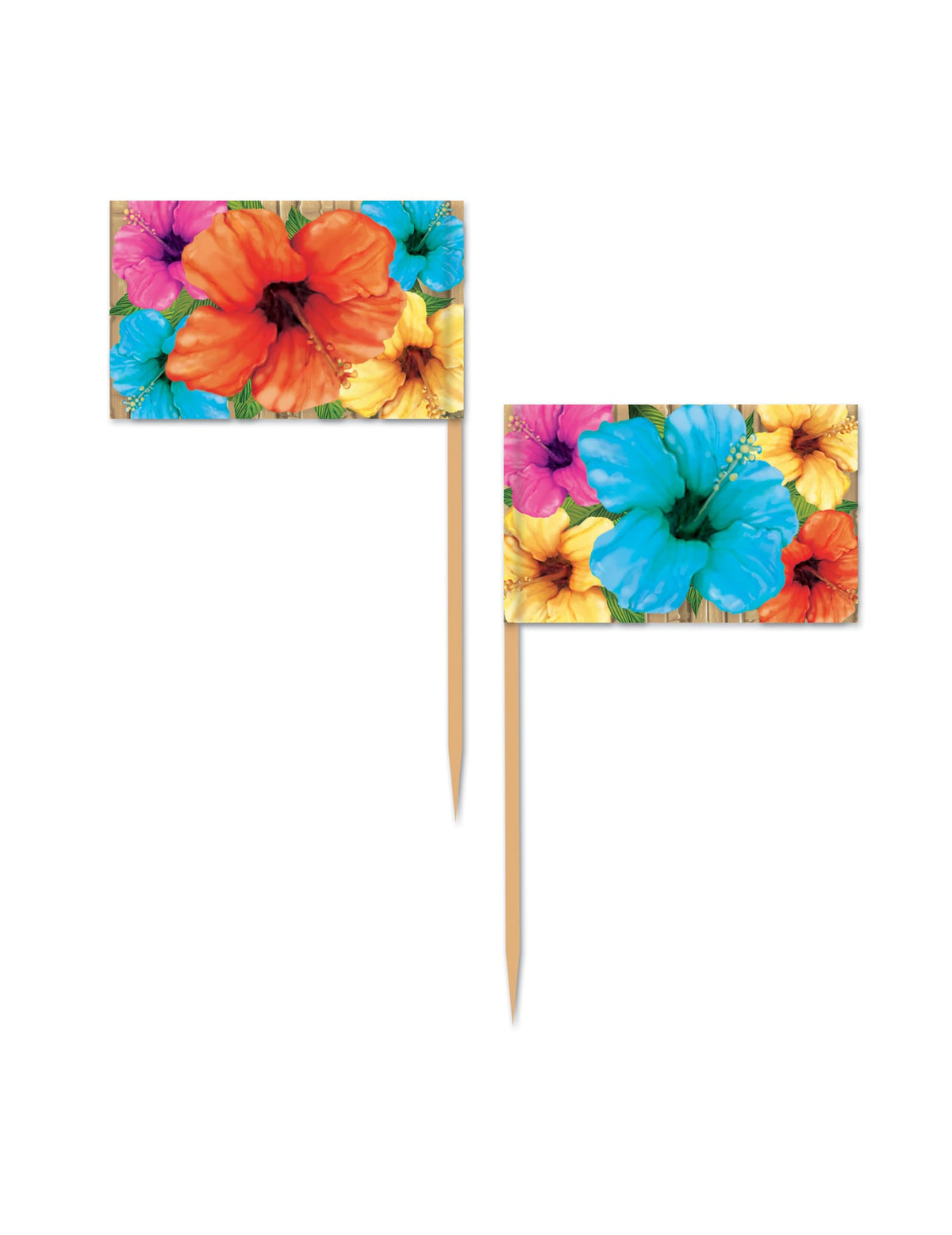 Pics Hibiscus pour fête multicolores à fleurs tropicales