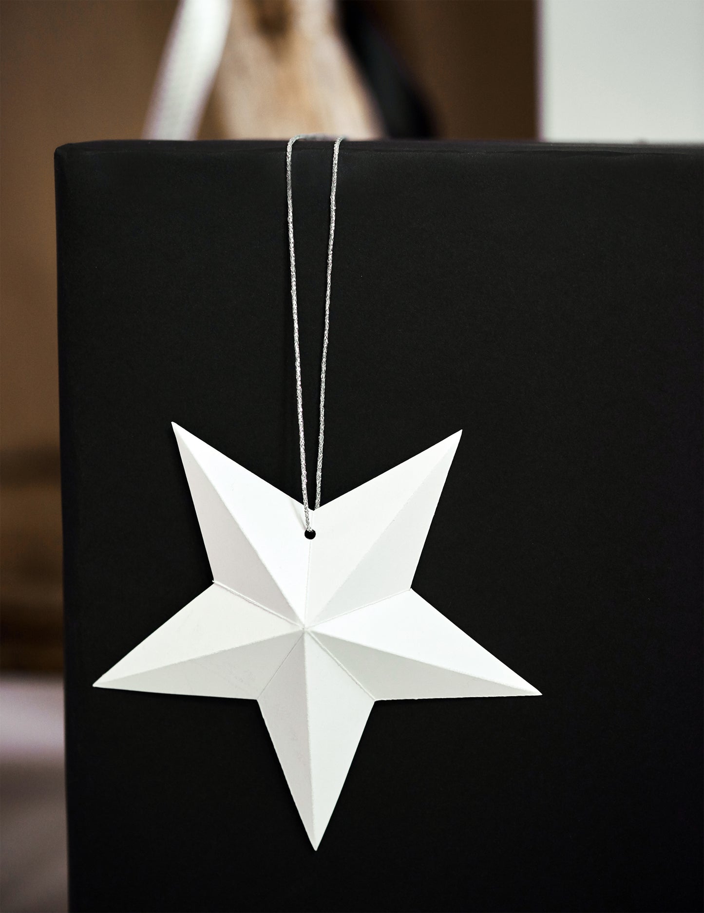 Détail du cordon argenté des étoiles à suspendre 3D pour noël