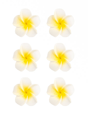 6 bielych umelých kvetov monoi 5 cm lepiaca pena