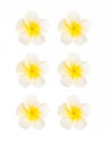 6 fleurs de monoï artificielles pour décoration blanches en mousse adhésives